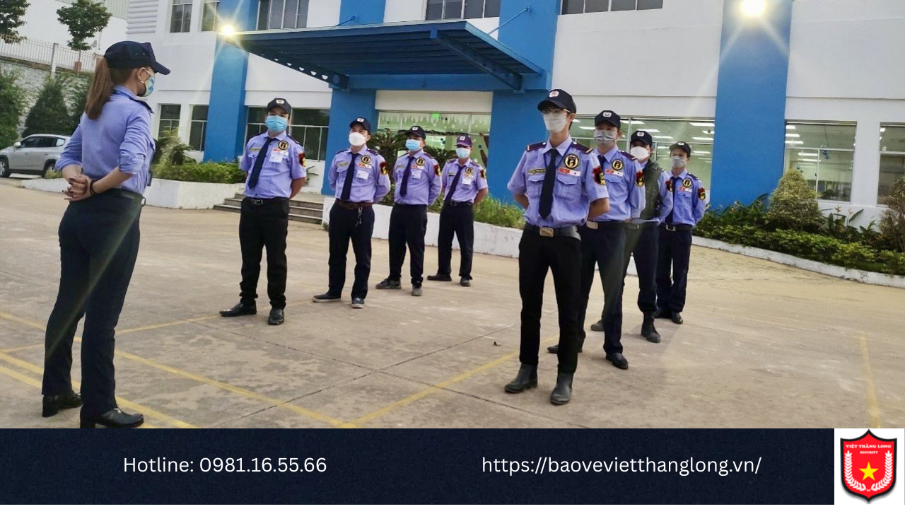 Tại sao nên chọn Việt Thăng Long?
