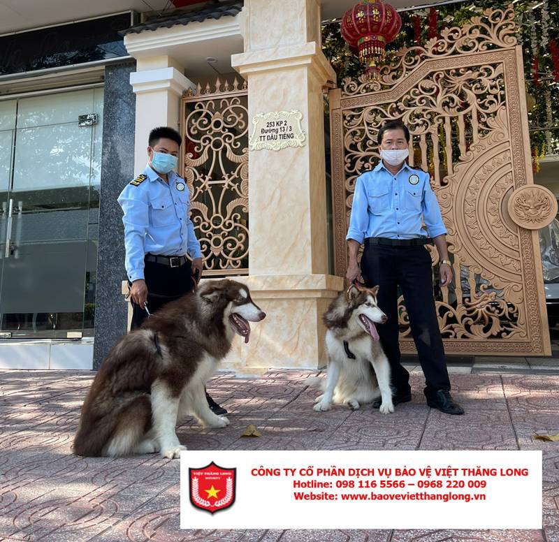 Bảo vệ tòa nhà riêng, dinh thự, biệt thự
